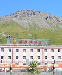 眾升科技系統輕載補償裝置--助力青海威斯特銅業有限責任公司，高效用電、改善電能質量！